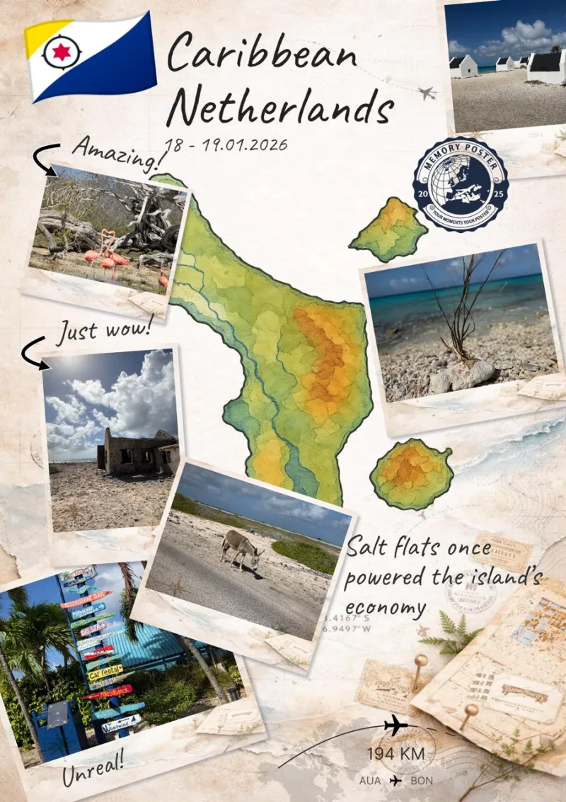 Memory Poster Example