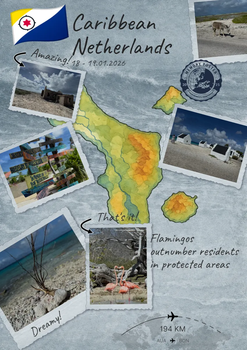 Memory Poster Example