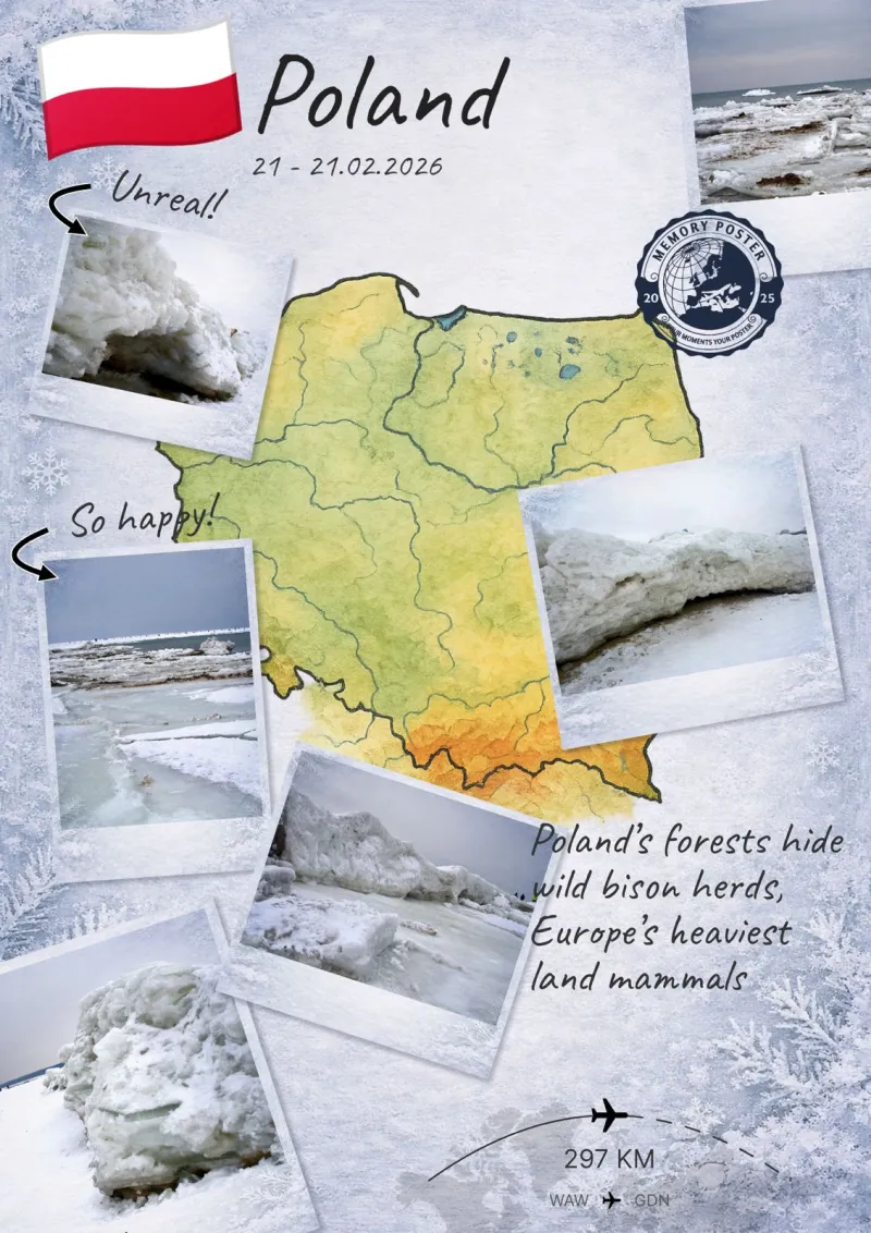 Memory Poster Example